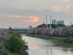 -广东花都湖国家湿地公园