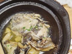 -邹开喜·炭炉鸡煲·海鲜火锅(虹口足球场店)