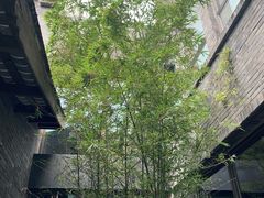 -成都观隐颐云台酒店-芳菲秀