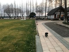 -太阳岛度假酒店