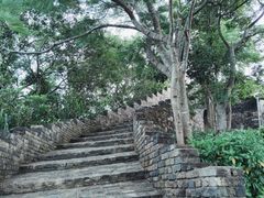 -小南山公园
