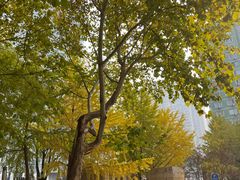 -布瑞琳洗衣(新城国际一期店)