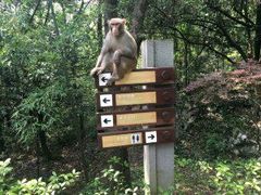 -千岛湖东南湖区