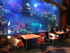 -迪拜帆船酒店海底餐厅
