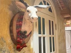 -叶叶菩提(太原别墅店)