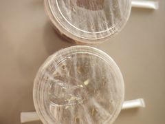 -Sips&Lick茶兰咖啡(五道口店)