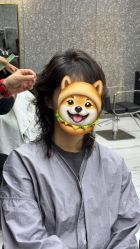 -付军剪艺