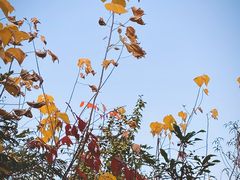 -天目湖涵田度假村