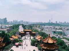 -黄鹤楼公园(黄鹤楼)