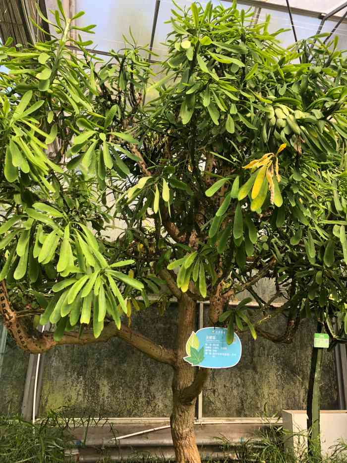 天宫庄园-"这50块门票相当的不值!除了小小植物园以."-大众点评移动版