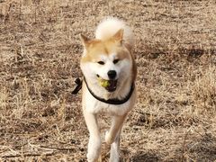 -瀛海足球主题公园