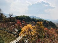 -塔川景区