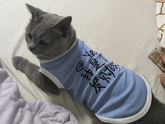 -宠颐生宠物医院外科·内科·皮肤科·影像科(石龙店)