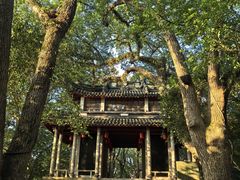 -溪口-滕头旅游景区