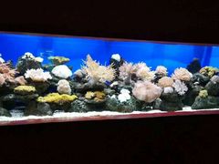 -乌鲁木齐海洋馆