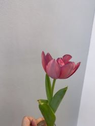 -Lily纤美·科技减脂中心