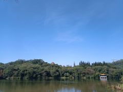 -深圳仙湖植物园