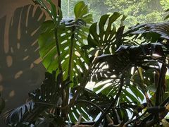 -J Create城市露营咖啡·简餐·宠物(上海动物园店)