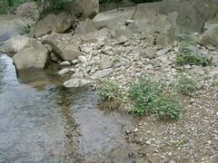 -浙北大峡谷