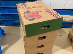 -老袁家蜜桃农场·阳山水蜜桃