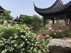 -花洲书院