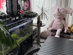 -MONANA蛋糕研究所