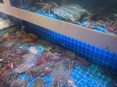 -花西亭·海鲜自助餐厅(瑞城名人酒店)