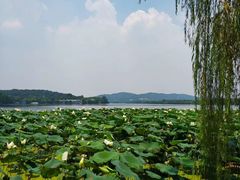 -西湖游船
