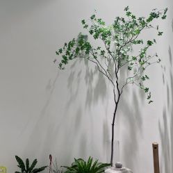 点击看大图 -RUMI日弥美容会所