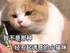 -爆炸头阿姨小四川正宗川味小吃(无任何分店)