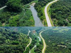 -广州市石门国家森林公园