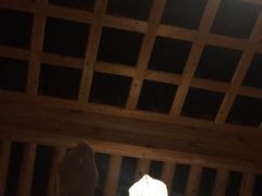 -纽斯桑拿会所(天山店)