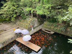 -千岛湖东南湖区