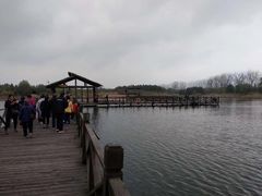 -溱湖国家湿地公园