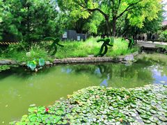 -三里河公园