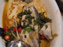 -陶缘一号·四季缘·老字号顺德菜·户外婚礼家宴(西滘店)