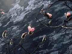 -东华门大街小区