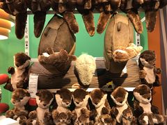 -宜家家居(四元桥商场店)