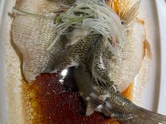 -刘胖子家常菜·蹄花焖藕(兴业店)