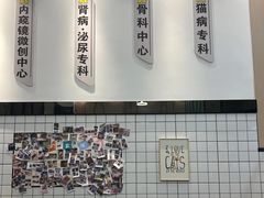 -半岛宠物医院24小时(科华中路店)