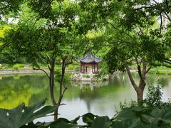 -和平公园