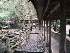 -天门沟九州驿站树上汤泉