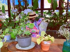 -北马山庄植趣咖啡