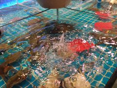 -领鲜活海鲜榴莲自助火锅(东门店)