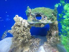 -海合安青岛极地海洋公园