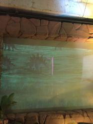 -恐龙探索乐园(磁器口店)