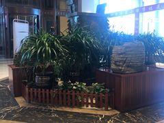 -陆地游轮吉林神农温泉