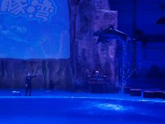 -华夏文旅海洋公园