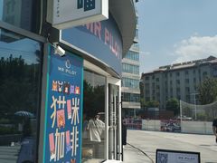 -飞行喵MR PILOT|猫舍·猫咖(静安大融城店)