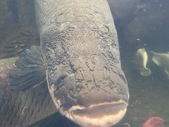 -青青世界
